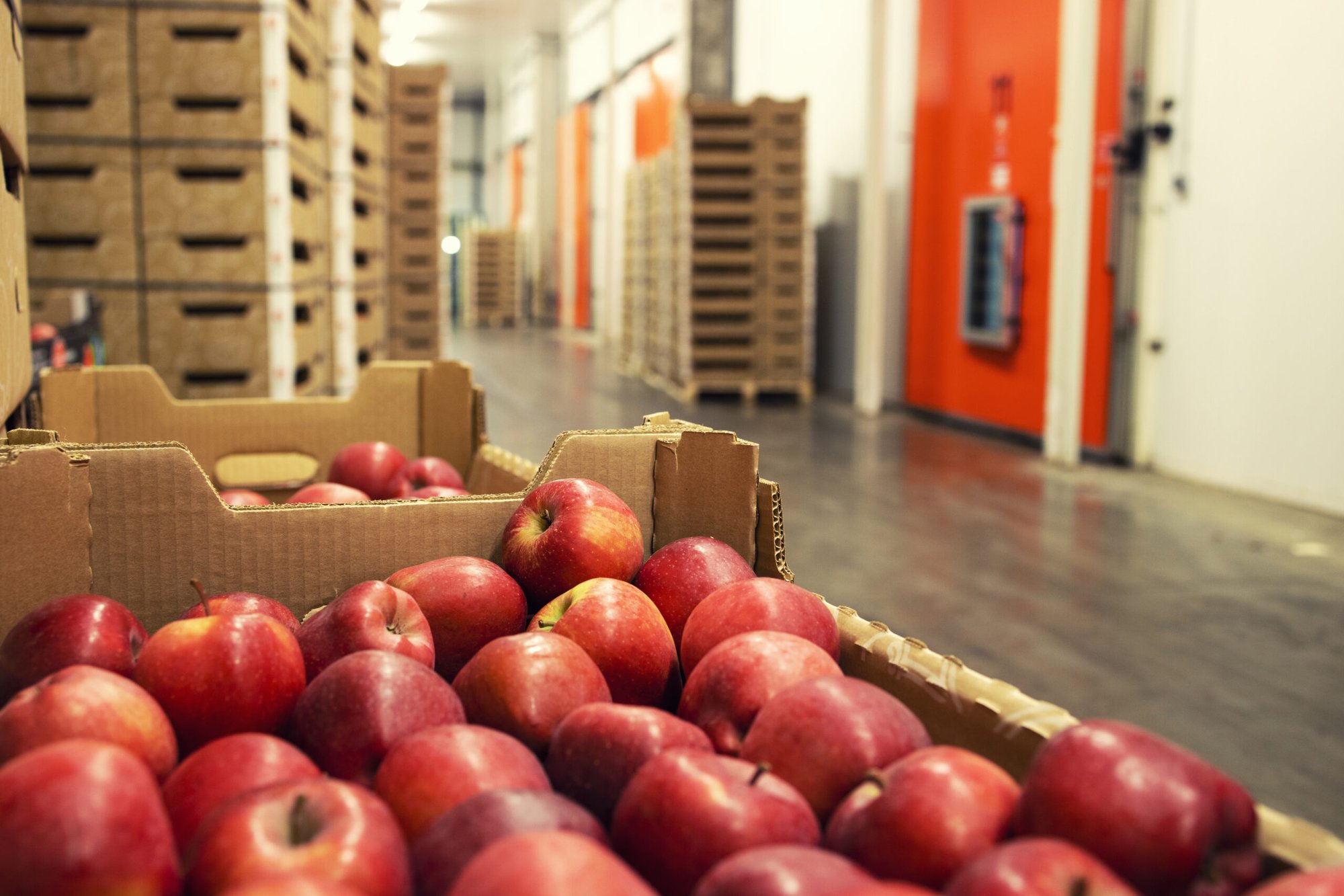 image-industries-food-distributors-scaled