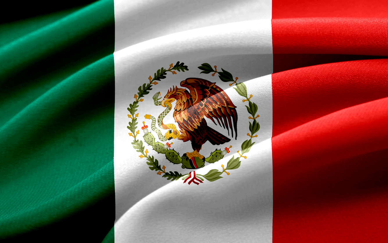 Assessing and Reinforcing Litigation in Mexico Part 2