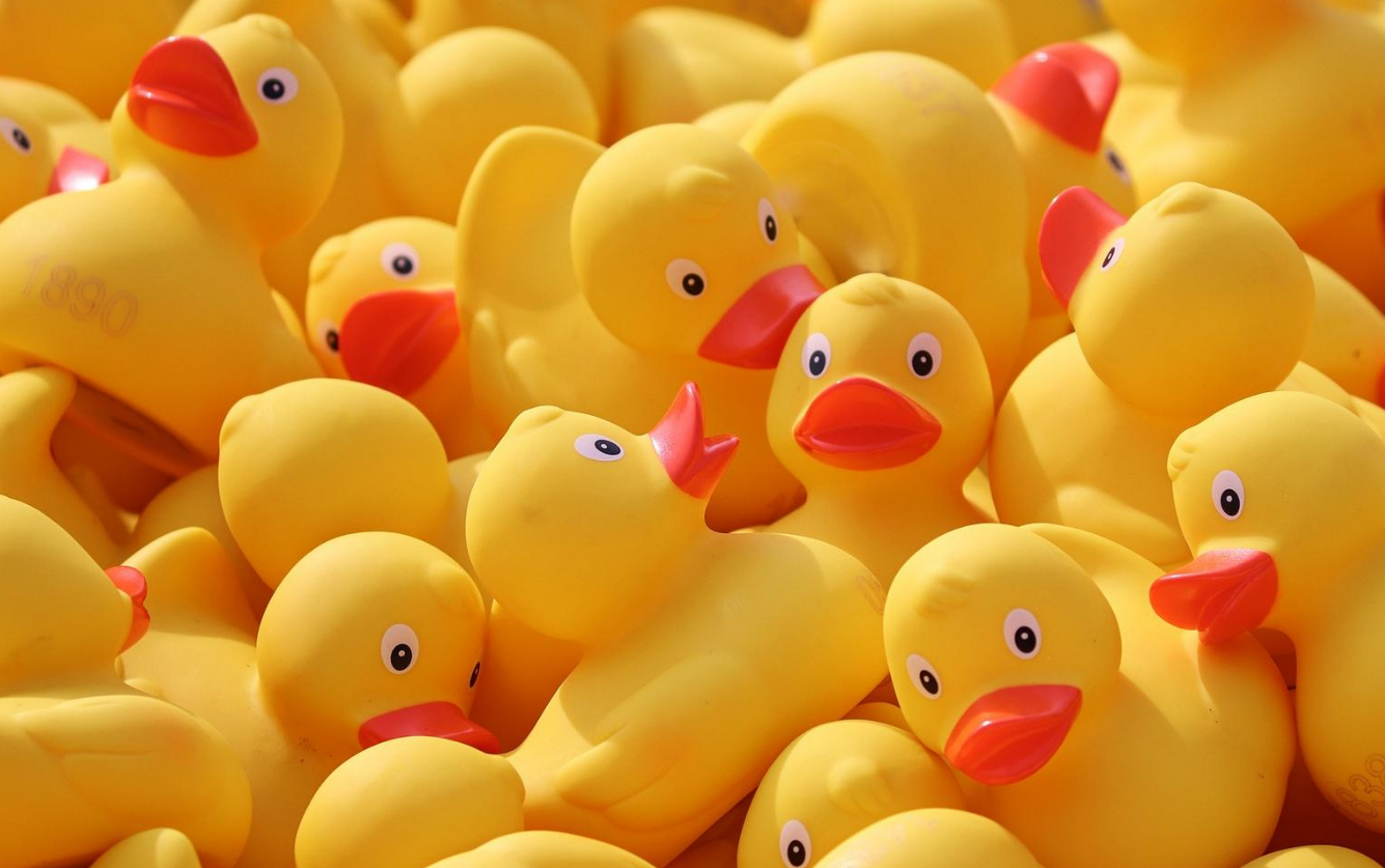 Maryland Mechanics Lien Rights Are Just Ducky