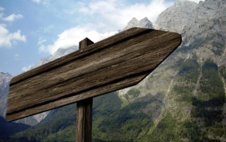 Is Mediation or Arbitration Best for Your Business?