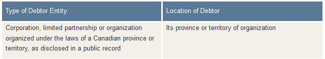 type and location of debtor entity chart
