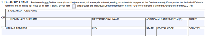 Debtor Section of UCC